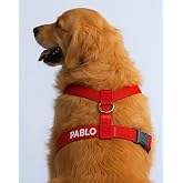 Lusi Doog Named Dog Harness For Safety Purposes Personalized Harness I Small and Medium Breed Dogs I Color S