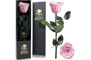 QHHENTOO Infinity Rose - Ewige Rose, Unvergängliche Geschenke für Frauen, Geschenke für Mutter/Freundin/Ehefrau/Oma, Ewige Blume (Rosa)