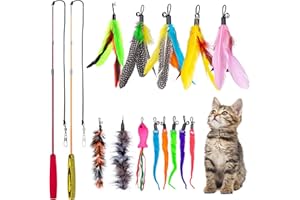 MEYDLL Lot de 15 jouets interactifs pour chat avec plumes, 2 jouets rétractables, 1 poisson rose, 2 peluches, 5 plumes et 5 vers, jouets pour chatons