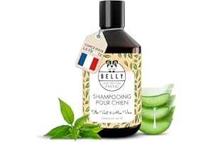 BELLY OUR MUTUAL FRIEND Belly® Shampoing Chien Anti Odeur - 250ml - Arôme de Thé Vert - pH Équilibré - Végan - sans Silicone ni Paraben - Shampoing pour Chien Hydratant et Adoucissant à Base de Thé Vert & Aloe Vera