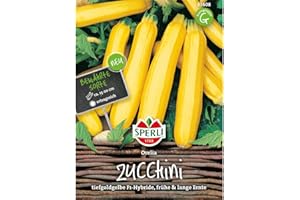 83608 Sperli Premium Zucchini Seeds Orelia Early Long Harvest Yellow Zucchini Zuchini Seeds Zucchini Yellow