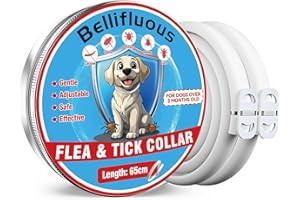Bellifluous Collare Antiparassitario per Cani, Collare Cane, 65cm Regolabile Impermeabile Collares per Cani, 8 Mesi di Protezione Delicato Collari Antiparassitari per Cane per Tutti i Canes (2 Pacco)