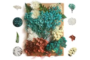 Jxuzh Trockenblumen Resin Set,natürliche Getrocknete Blumen,Getrocknete Blüten,gemischte Getrocknete Blätte,diy Gepresste Blumen,echte Gepresste Blumen Für Kunst Basteln Diy Harz Scrapbooking Handwerk