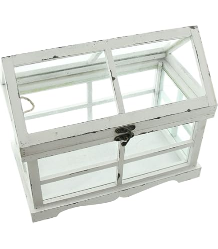 CKB LTD Mini Indoor Wooden Greenhouse – 20x21x13.5cm, With Removable Roof & Plastic Tray, For Windowsill Gardening