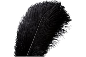 VoilaLove 20 pcs Plume d'Autruche Naturel Artisanat 10-12 Pouce (25-30 cm) Plume pour Centres de Mariage Décoration de La Maison (25-30cm,Noir)