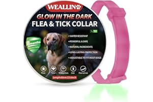 WEALLIN Luminoso Collar Antipulgas Perros, Collar de Pulgas y Garrapatas para Perro, Collares Antiparasitario para Perros Impermeable Regulable con 8 Meses de Protección, Rosa Caliente (1 Pièce)