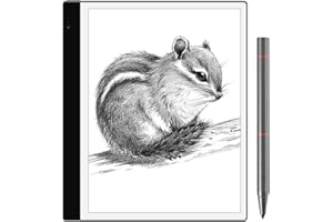 Bigme InNoteS eReaders 10,3-calowy tablet z ekranem e-Ink 4G 64 GB do czytania, pisania i szkicowania, czytnik e-booków łącznie z rysikiem i etui