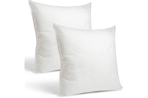 best throw pillow inserts