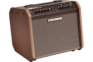 Fishman 60W sur batterie