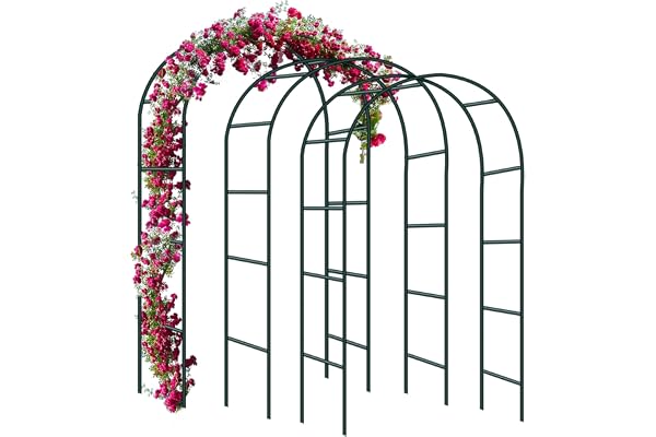 Forever Speed 3PCS Arche de Jardin pour Rosiers Treillis en Acier revêtu par pulvérisation Décoration de Jardin et décoration Résistant aux intempéries 240 x 140 x 38 cm - Vert