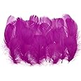 PATIKIL Colorful Feathers 3-5inch, 300pcs Goose Feathers Bulk for Crafts DIY, Wedding Home Party Decorations Dream Catcher, Fuchsia