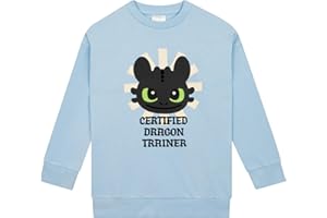 How To Train Your Dragon Sudaderas, Sudadera Niña Toothless, Sudadera Chica Algodon