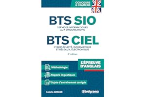BTS SIO et CIEL – L’épreuve d’anglais: Services informatiques aux organisations – Cybersécurité, informatique et réseaux, électronique