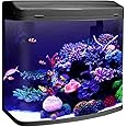 Jainsons Pet Products Minjiang Fish Aquarium Tank (HR3-380, Capacity-24L, Black, Rust Resistant)