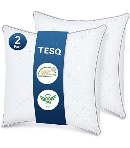 Oreillers TESQ 60x60cm Lot De 2 - 900g De Remplissage - Qualité Hôtelière - Hypoallergénique