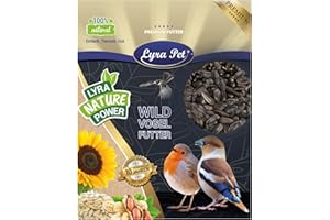 Lyra Pet® | 25 kg Sonnenblumenkerne Schwarz | Wildvogelfutter Ganzjährig | Ideal für Kleine Vögel | Vogelfutter für Gartenvögel | Mit Höchstem Ölgehalt | Spendet Energie im Sommer und Winter