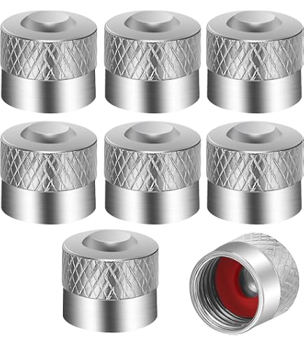 4 Bouchons Valve Pneu Argent Pour Renault - Anti-Corrosion