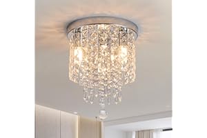 Dellemade Crystal Ceiling Lighting Fixture,Mini Flush Mount Ceiling Light, Modern Crystal Chandelier for Living Room,Kitchen, Hallway,Dining Room (Silver B)