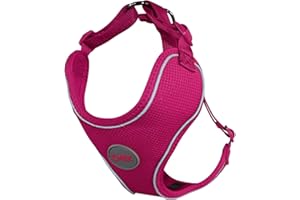 DDOXX Pettorina Cane, Riflettente, Imbottito, Regolabile | Tanti Colori e Taglie | Per Cani Piccoli Medi Grandi | Imbracatura Gatti Cuccioli Gatto Piccola Media Grande | Rosa Rosa, XL