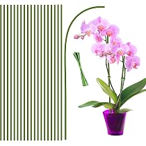 Heeqinn Orchideen-Clips Mit Zähnen – 100 Stück, Grün, Pflanzenclips Zum Festhalten Von Ranken An Stäben Oder Gittern