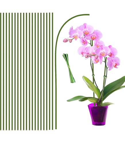 Bambus Pflanzstäbe 50cm - 200 Stück Natürliche Rankhilfen Für Tomaten & Blumen