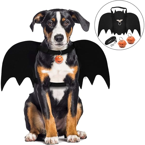 Legendog Dog Halloween Costumes Halloween Bat Dog Costume Dog Bat Wings Dog Fancy Dress Costume Pet Halloween Costumes For Medium Large Dogs Cosplay Decoration Amazon Co Uk Pet Supplies