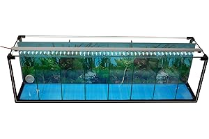 AQUARIUM PLÜDERHAUSEN Komplettset Aquarium Zucht-Becken Betta 38 L, Garnelen-, Aufzucht-, Kampffisch-Aquarium inkl. LED-Lampe,Luftpumpe, Heizstab