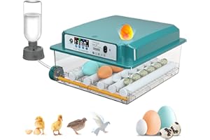 Chalixion Incubadora Huevos Gallina para 16 Huevos, Incubadora de Huevos con Control de Temperatura y Volteo Automático, Incubadora con Rodillos Ajustables para Pollos, Patos, Gansos y Codornices