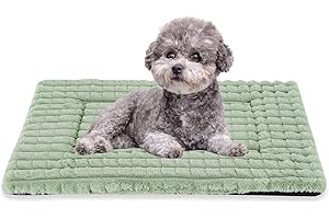 BVAGSS Flauschiges Orthopädisches Hundebett, Waschbar Hundematte, rutschfeste Unterseite, Plüsch Hundekissen Weiche und Warme Hundematte für klein mittel große Hunde XH082 (60x45cm,Grün)