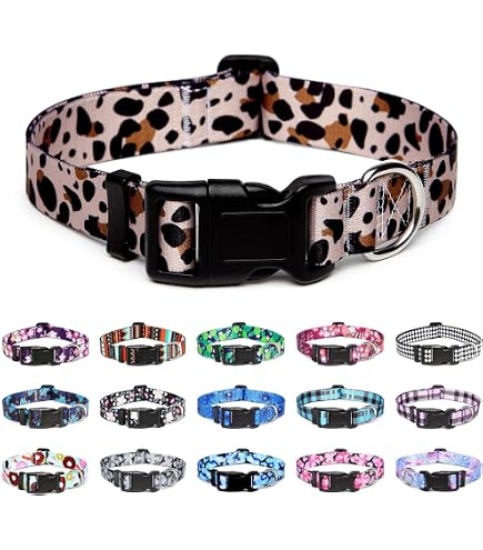 Wonder Woman Hundehalsband Mit Sitzgurt-Schnalle – Rot-weiß-blau, 1,5 Zoll Breit, Verstellbar 18-32 Zoll (offiziell Lizenziert)