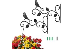 CHWUYI Hanging Basket Bracket,1Pcs/2Pcs Hanging Basket Brackets Outdoor Wall Plant Hanger Garden Hooks for Plants Lanterns Bird Feeders Fence (2PCS)