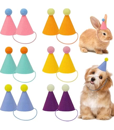 Kit De 10 Sombreros De Unicornio Arcoíris Para Fiestas – Divertidos, Con Cordón Elástico Y Bobina – Ideal Para Cumpleaños Y Celebraciones