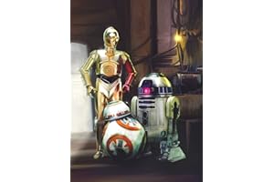 KOMAR Sunny Decor | Star Wars | Papier peint photo Three Droids | 184 x 254 cm Papier peint, décoration murale, C-3PO, BB- 8, R2-D2 | SD447