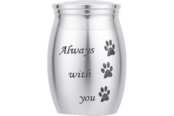 CREATCABIN Petites Urnes pour Animaux de Compagnie Toujours avec Vous Mémorial Cendres Mini Urnes Gravées en Métal Souvenir en Acier Inoxydable pour Animal de Compagnie Chien Chat Oiseau Lapin