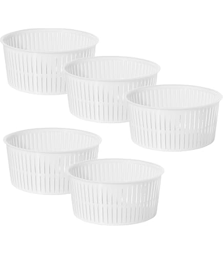 AlcoFermBrew Forma Per Formaggio Da 0.5kg – Plastica Alimentare, 10.5x10.5x8.5cm