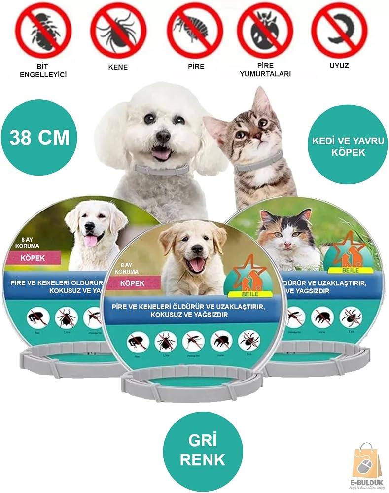 Kedi Anti Pire Kene Önleyici Tasma- 38 Cm | Kedi için