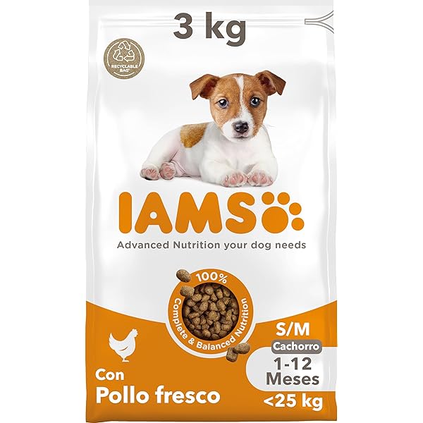 IAMS Puppy Small & Medium con pollo 3 kg