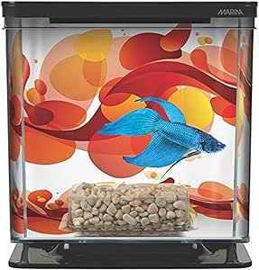 betta fish tank starter kit