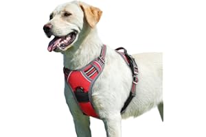 Eagloo Pettorina Cane Taglia Grande, Pettorina ad h Antifuga, Imbracatura per Cani Anti Tiro con Doppio Gancio, Imbracatura Robusto e Regolabile per Addestramento Passeggiate, L, Rossa