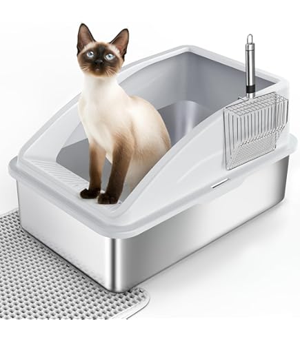 XXL Kattenbak, grote kattenbak, 50 x 35 x 25 cm, geurvrij, anti