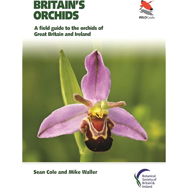 Field Guide to the Orchids of Europe and the Mediterranean Second