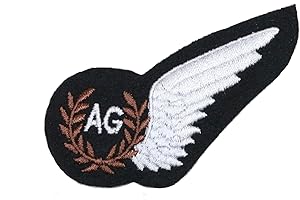 Epic Militaria British WW2 Royal Air Force RAF AG AIR GUNNER WING - Uniform Brevet Patch