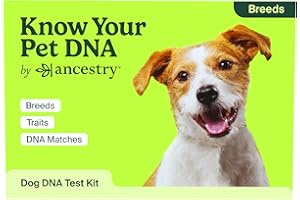 ANCESTRYDNA Know Your Pet DNA by Ancestry: Dog DNA Breed Identification Test, Genetic Traits, DNA Matches, Dog DNA Test