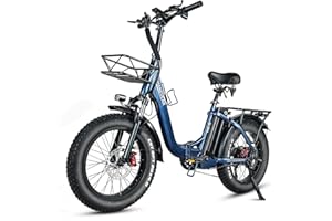 ‎HANEVEAR HANEVEAR Elektrofahrräder 20 Zoll E Bike Klapprad Pedelec 24Ah/48V Lithium-Akku | bis zu 140km, 250W Heckmotor, Hydraulische Bremse, Elektrofahrrad Trekking/City Pedelec für Damen und Herren