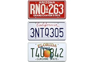 Celebrity Machines Fast and Furious | Paul Walker | Metal Stamped License Plates