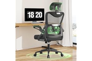 BareTay Office Chair Ergonomic Desk Chair with Adjustable Lumbar Support Padded Flip-up Armrests Headrest Comfy Cushion High Back Office Desk Chairs Mesh Task Chair 360°Swivel Computer Chair