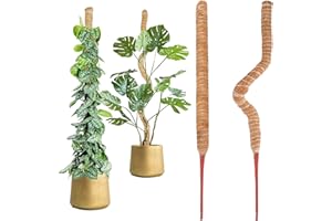 FORYNXHWIN Monstera podpora do roślin pnących, 2 sztuki, 60 cm, elastyczna podpora dla roślin pnących, naturalna podpora dla roślin pnących