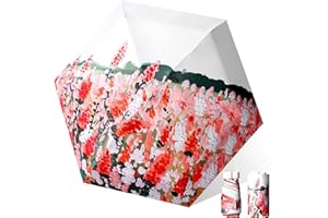 PLUSHCEWT Mini Paraguas del Sol,Mini Paraguas,Paraguas Plegable,Pequeño Paraguas Compacto para Sol y Lluvia,6 Costillas Fuerte Mini Paraguas Plegable de Viaje,Con Bolsa de Almacenamiento