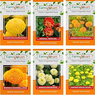seed様確認用 Indus Seeds Ashtagandha Plus Marigold Flower Seeds 1000 SEEDS PACK