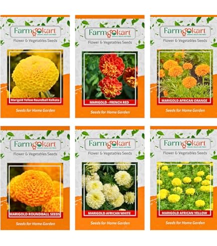 strawberryページ strawberry cartoon drawing Strawberry Monster PNG - Stock